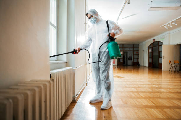 Real Estate Pest Inspections in Clinton, IA